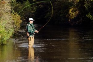 Fly Fishing in Steamboat Springs
