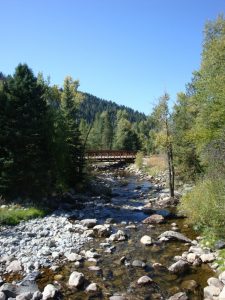 The Sanctuary Fish Creek