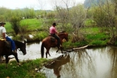 chad-crossing-the-stream