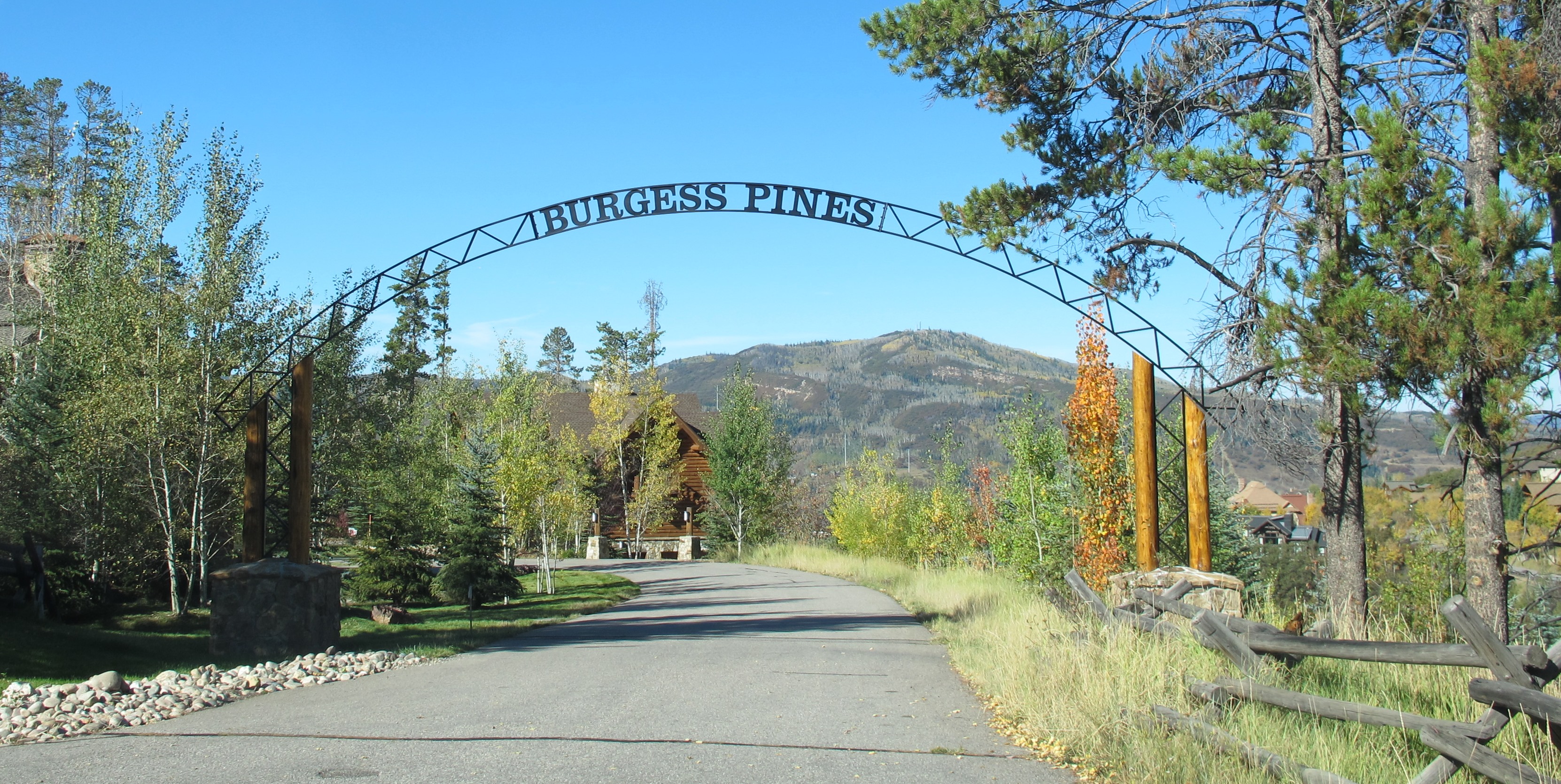 Burgess Pines luxury homes